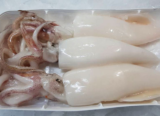 Squid loligo whl rnd 3lb